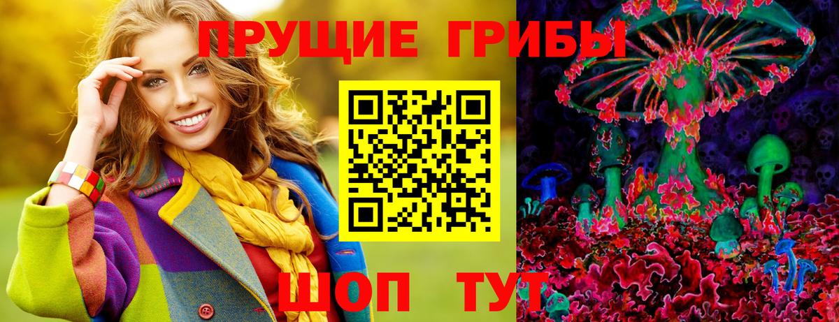 Галлюциногенные грибы Magic Shrooms  Галлюциногенные грибы Psilocybe  Вход с VPN  Выборг 